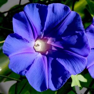 Meet your Posher, Joanne